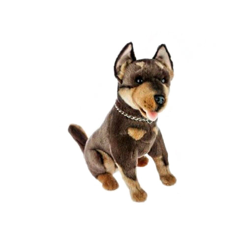 Basil – Red and tan Australian Kelpie Size 28cm/11″