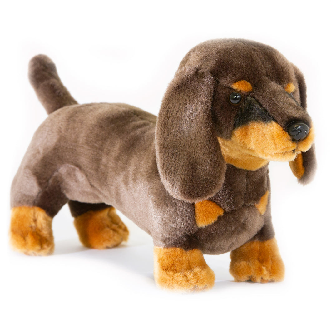 Stretch – Chocolate and tan Dachshund Size 36cm/14″